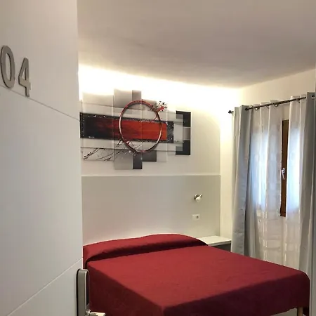 Longevity Tortoli