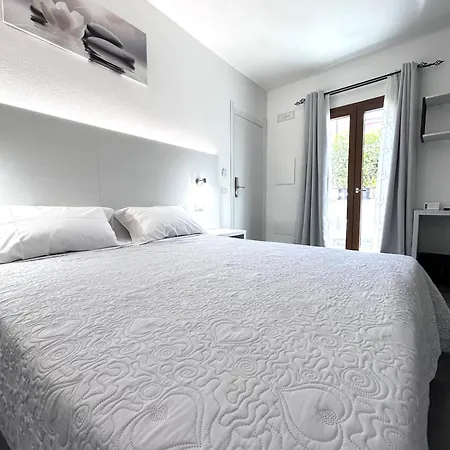 Longevity * 토르톨리